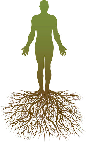 The Grounding Effect: Connecting Body and Mind with the Earth